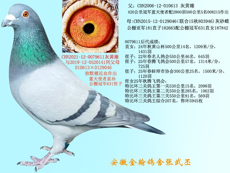 ��Ĭ��0079611