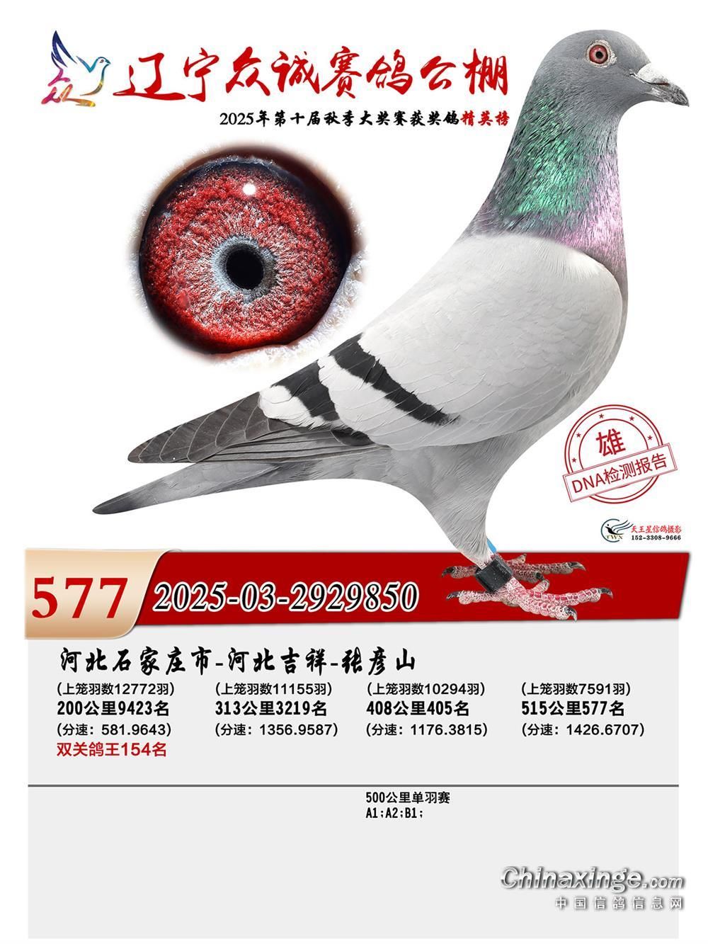 ɣ��ʿ ����850