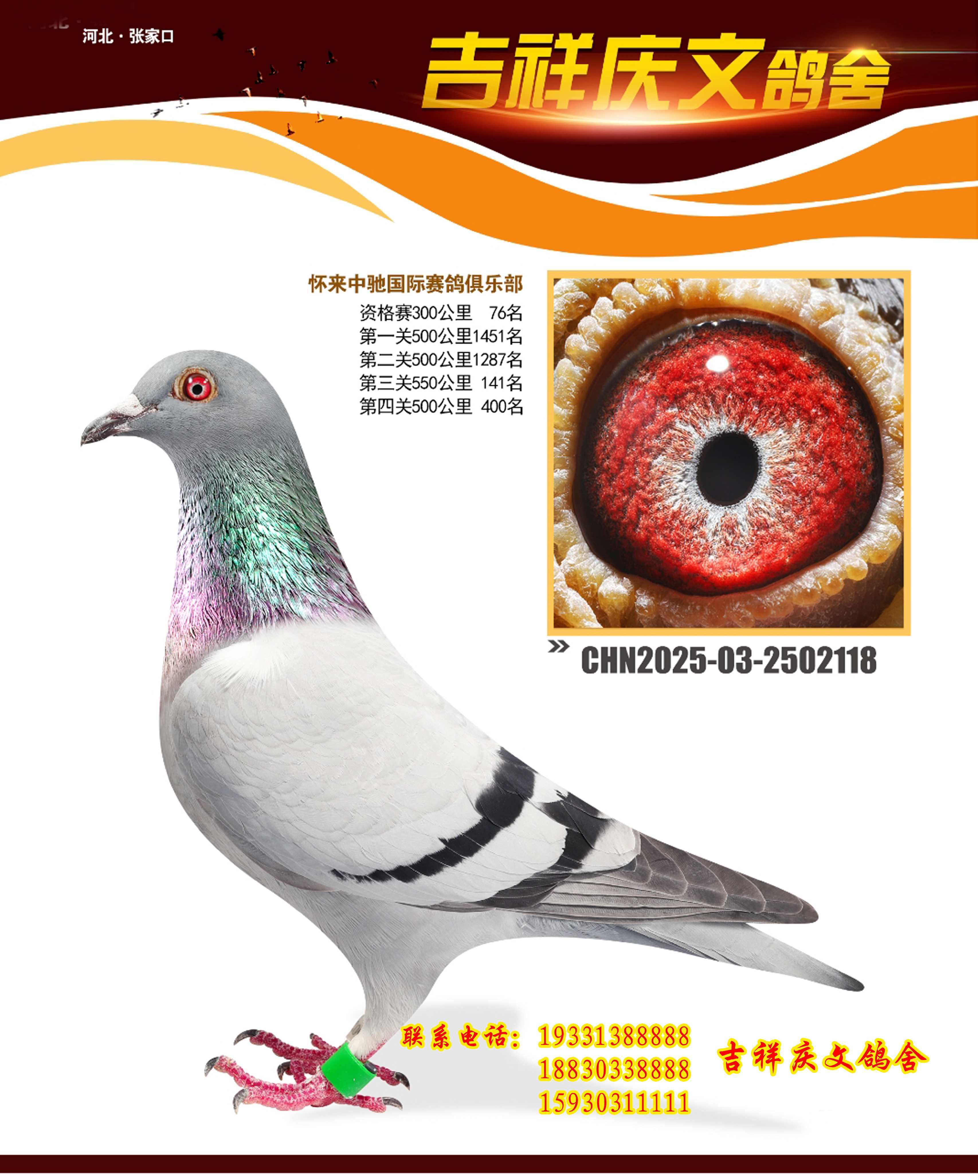 �㘷���@����