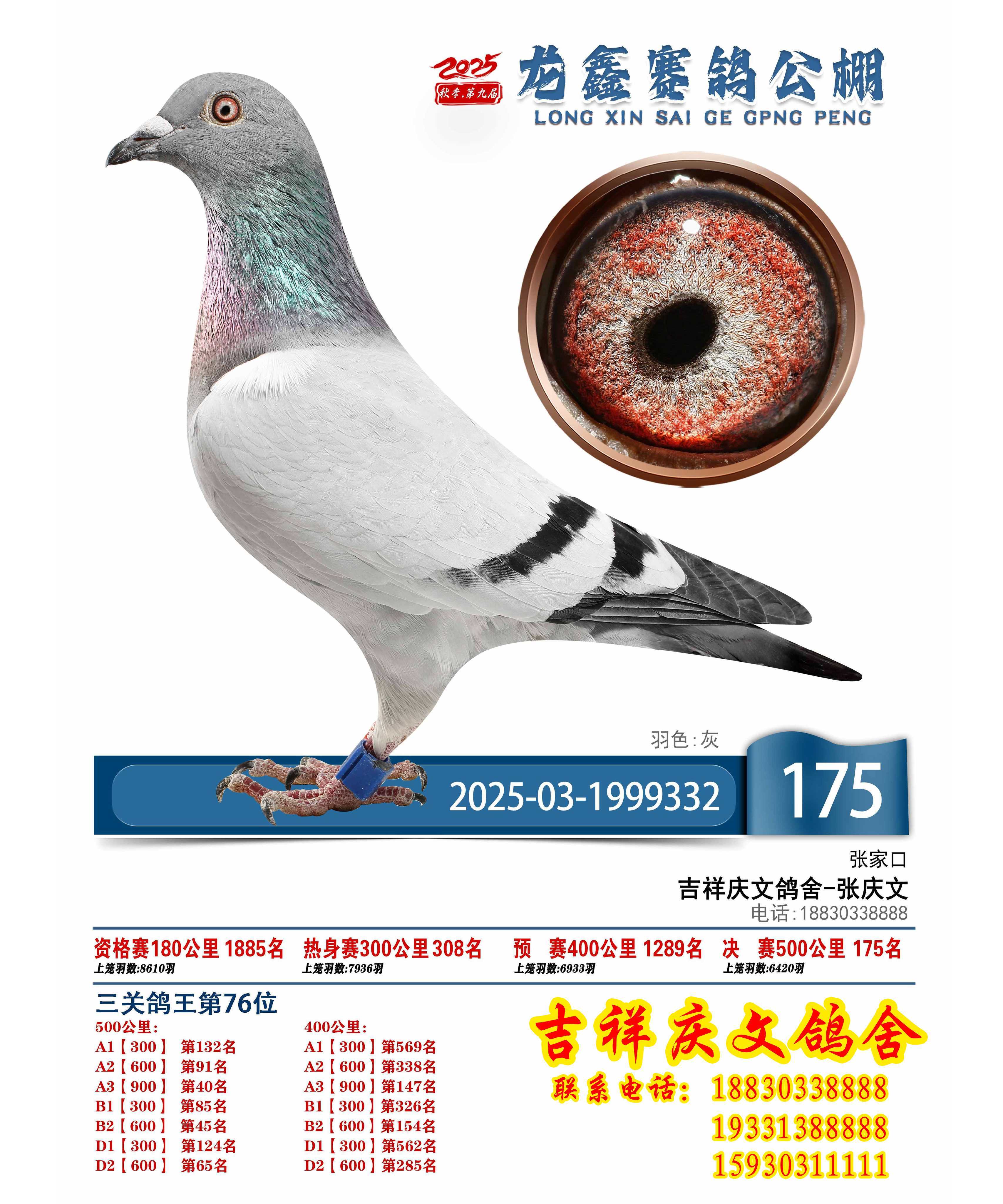 ���ι���Qِ175