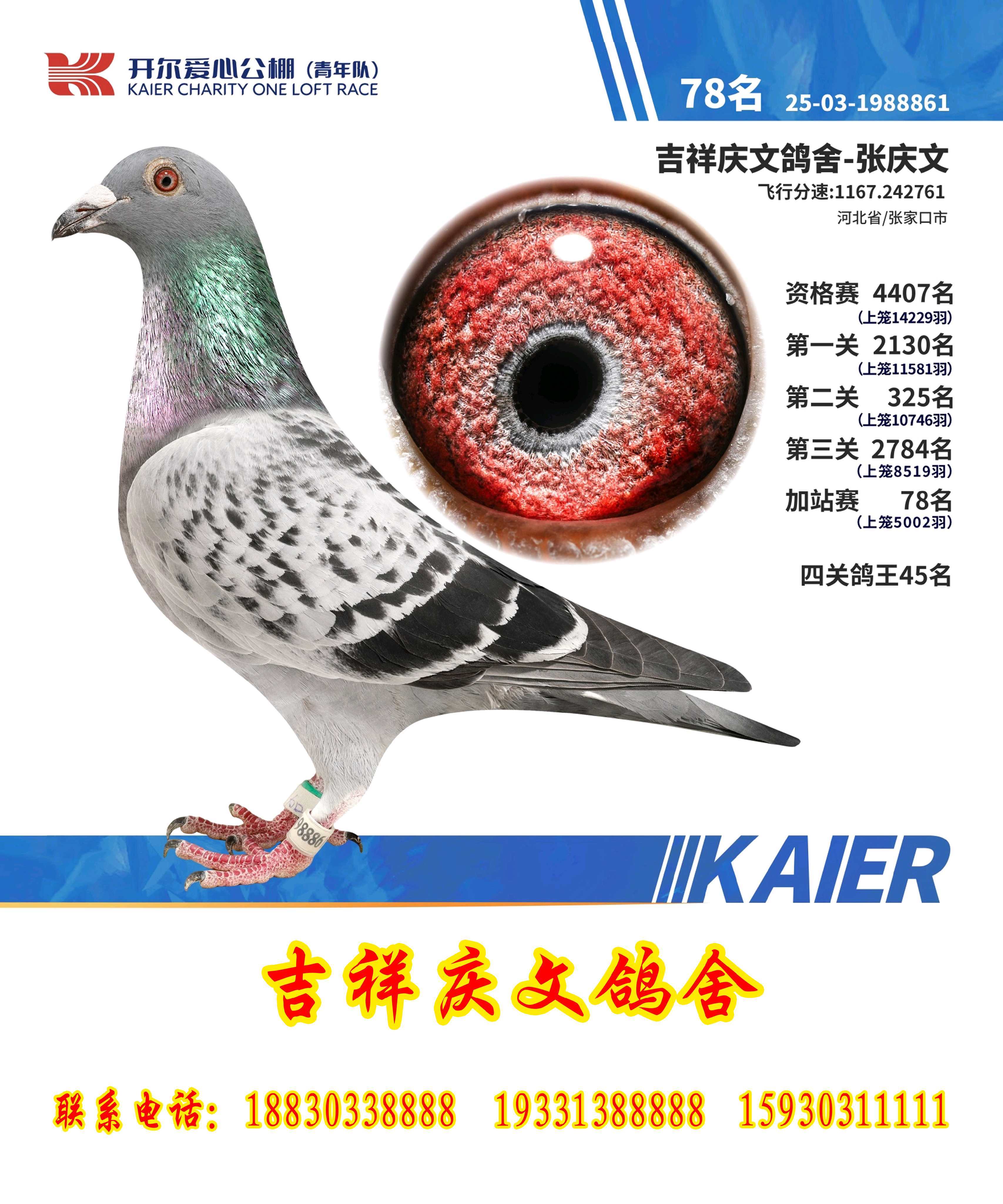 �_���Qِ78��