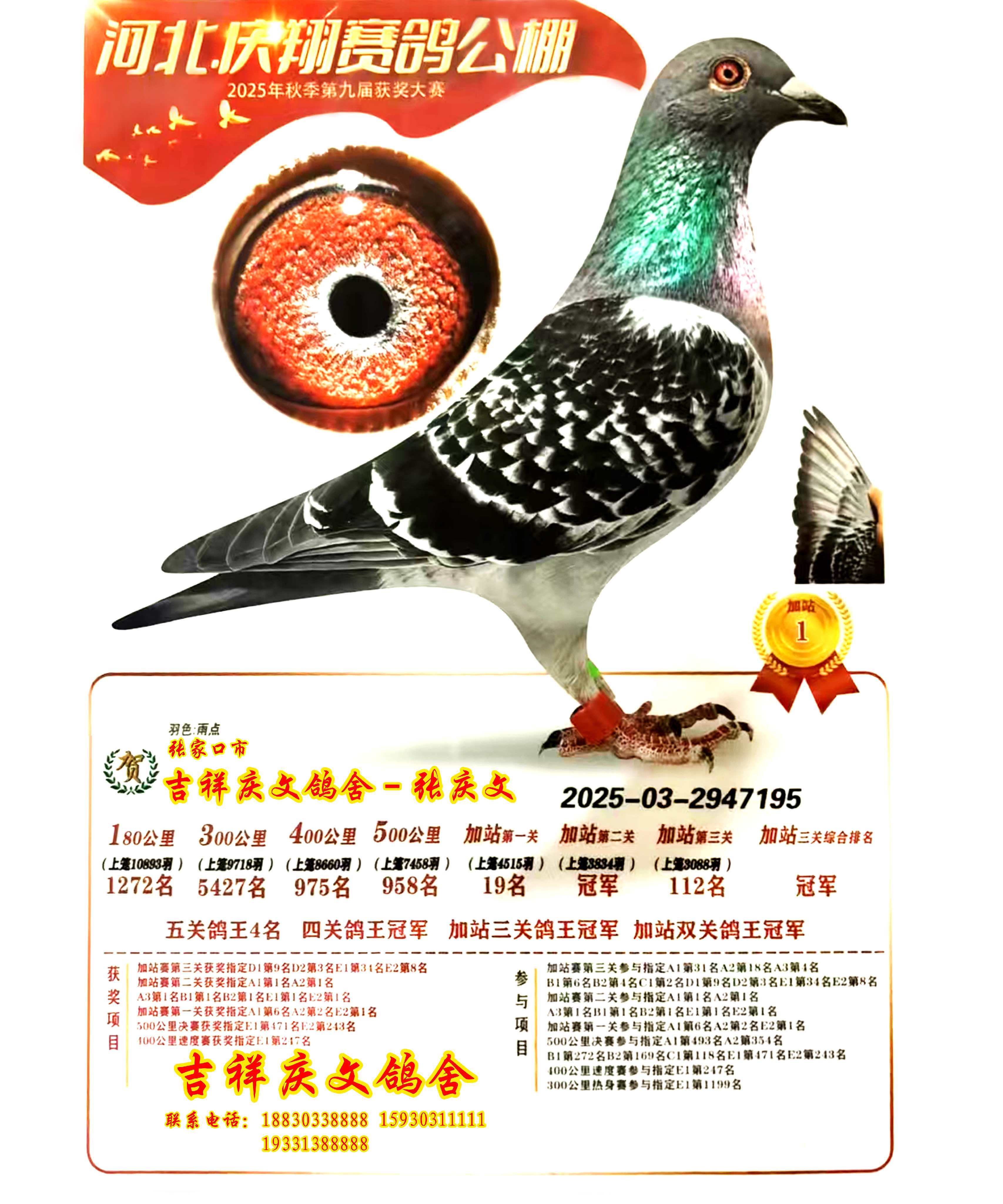 �c���վِ��܊