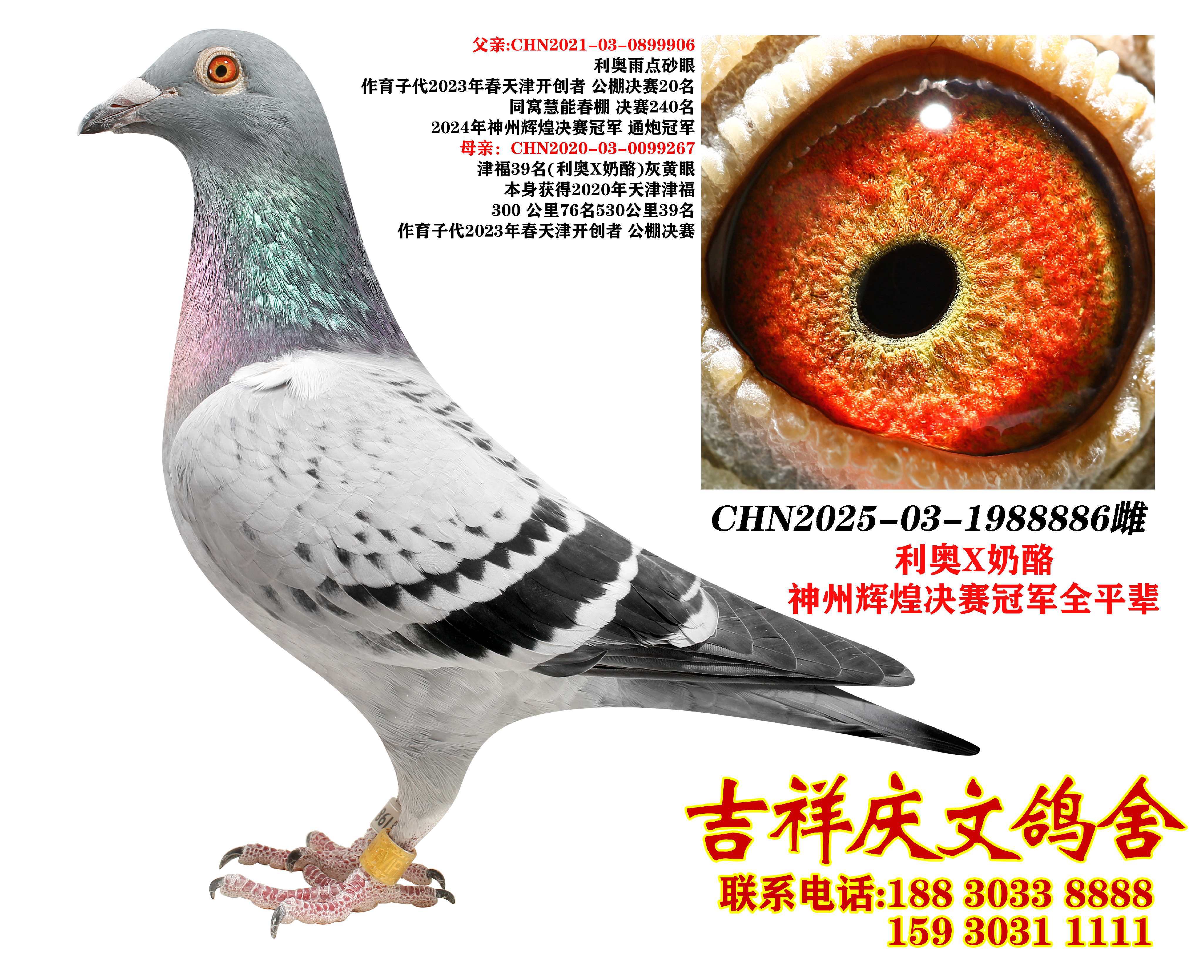 �����x�͹�܊ƽ݅