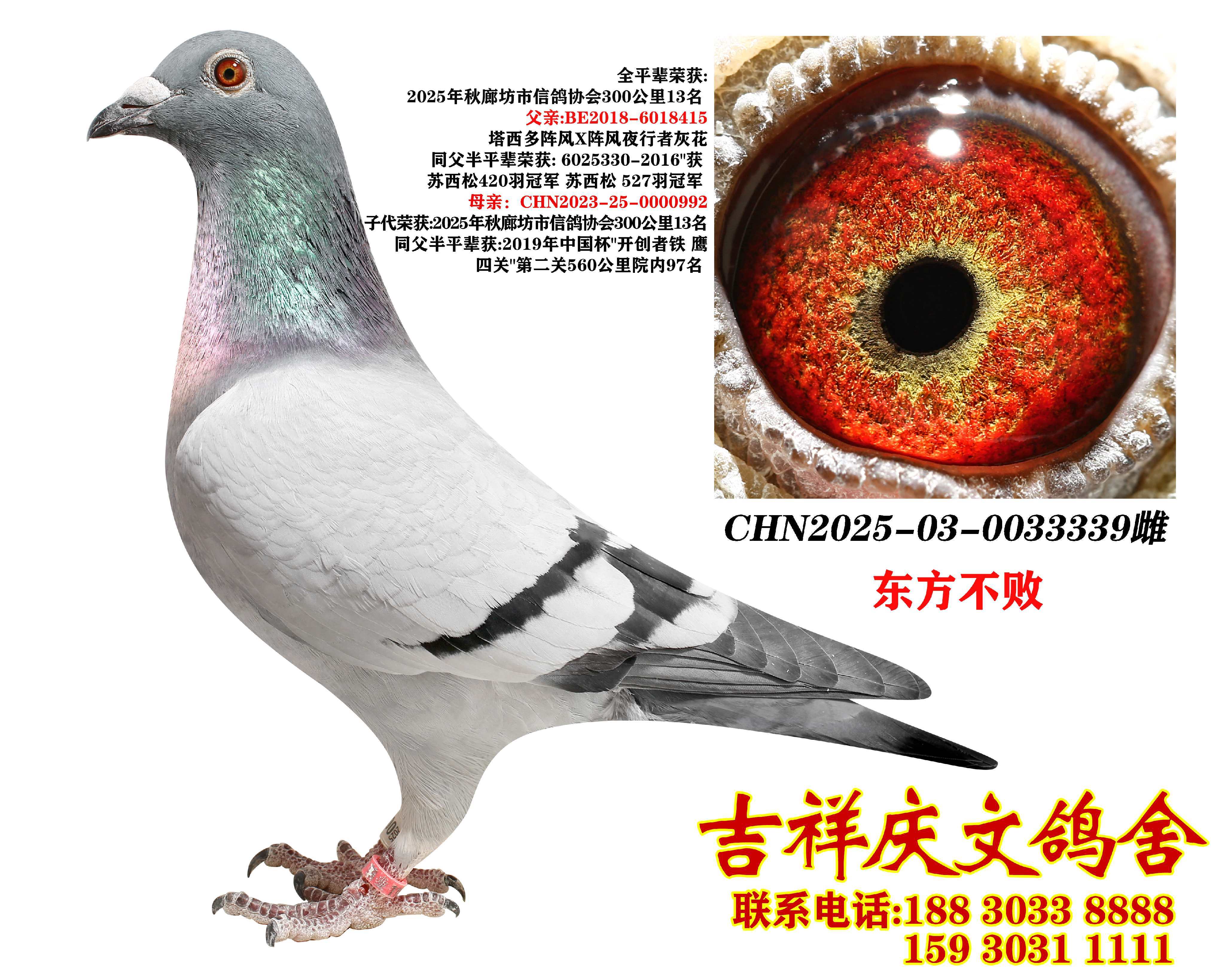 �|������