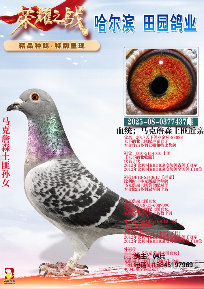 ����ղɭ����ֱ��Ů437