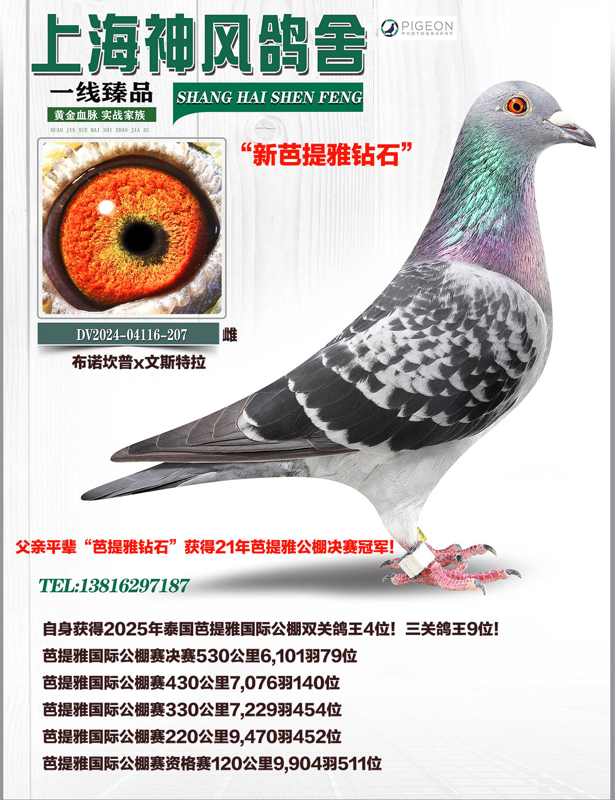 ����������4��