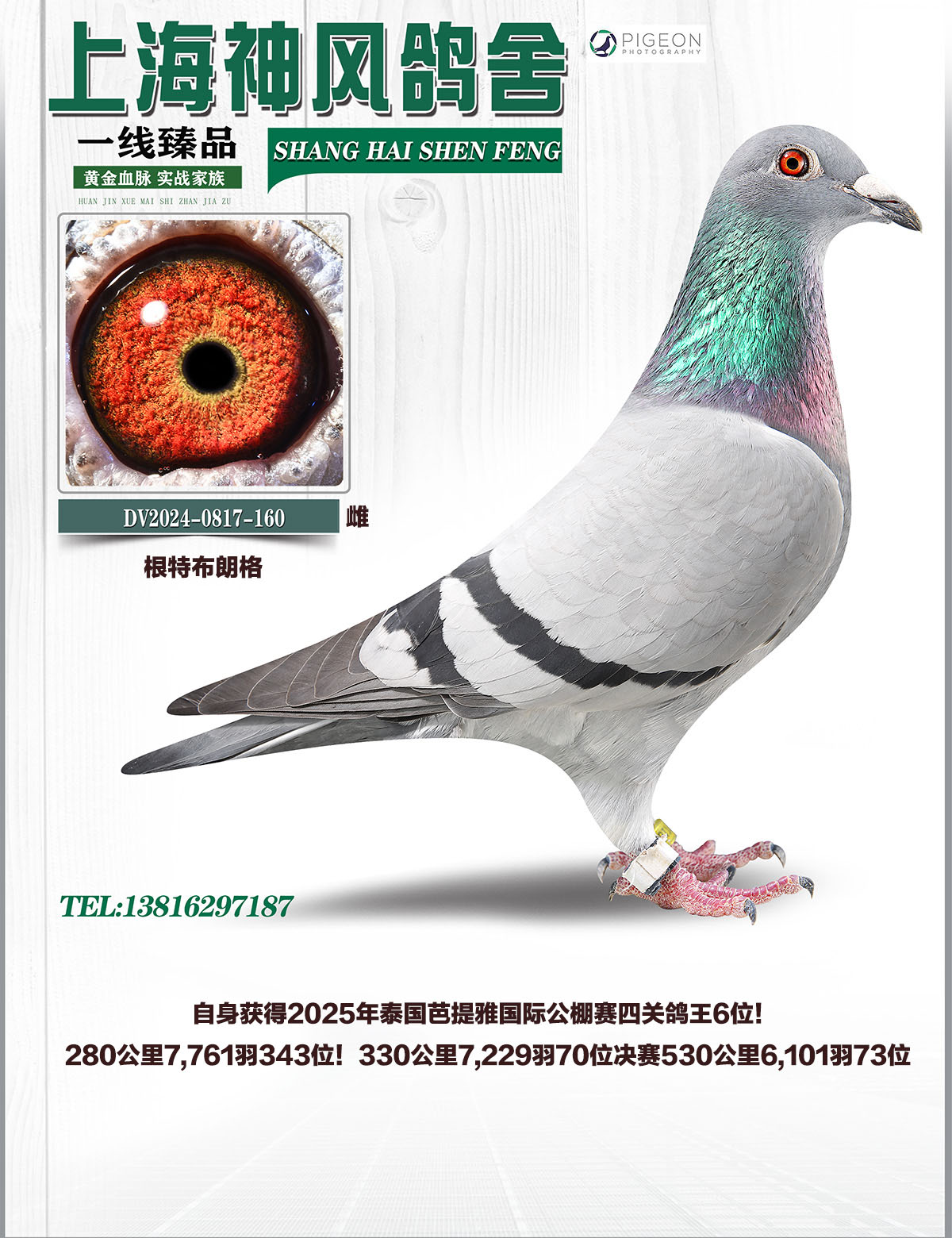 ����������6��