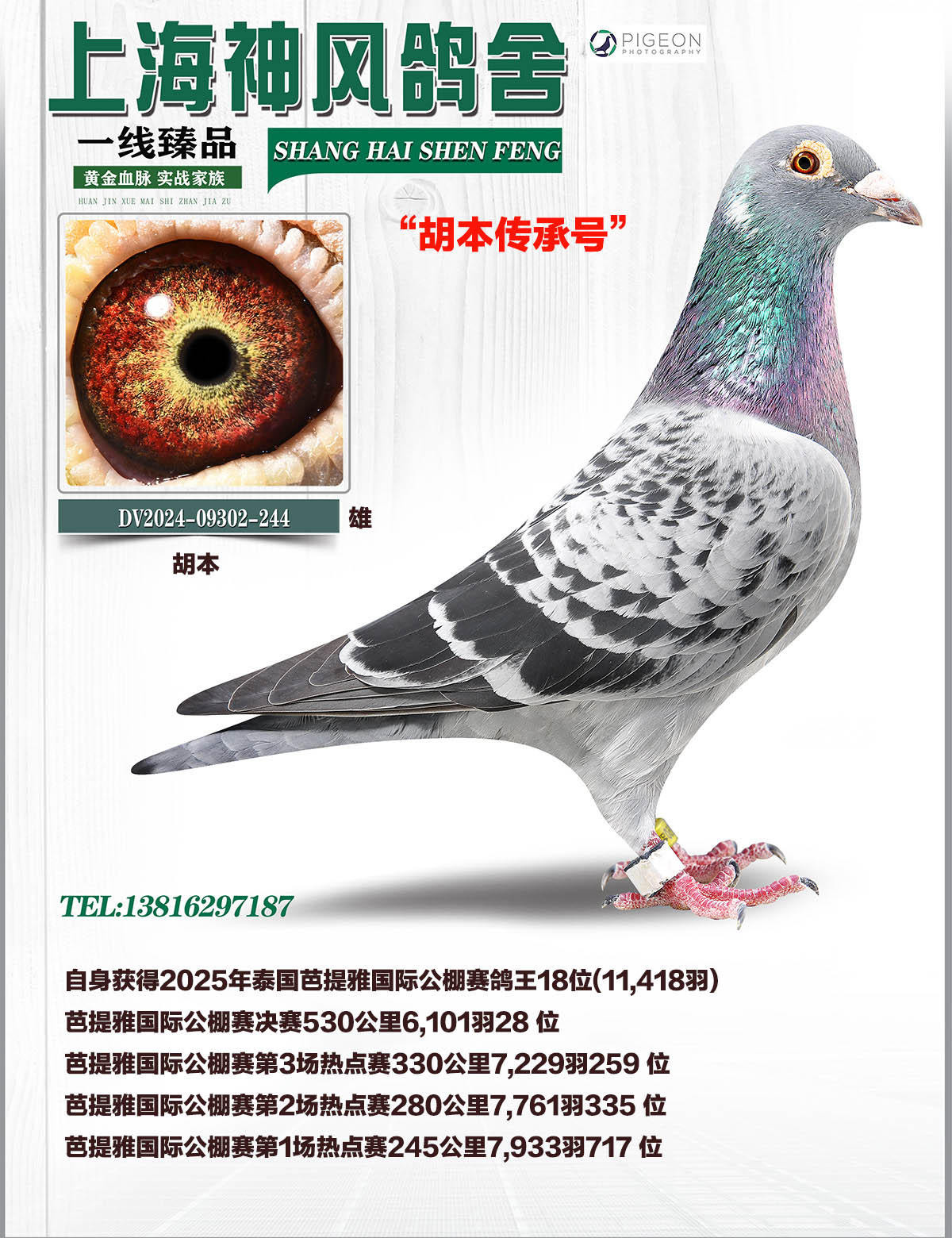 ����������18��