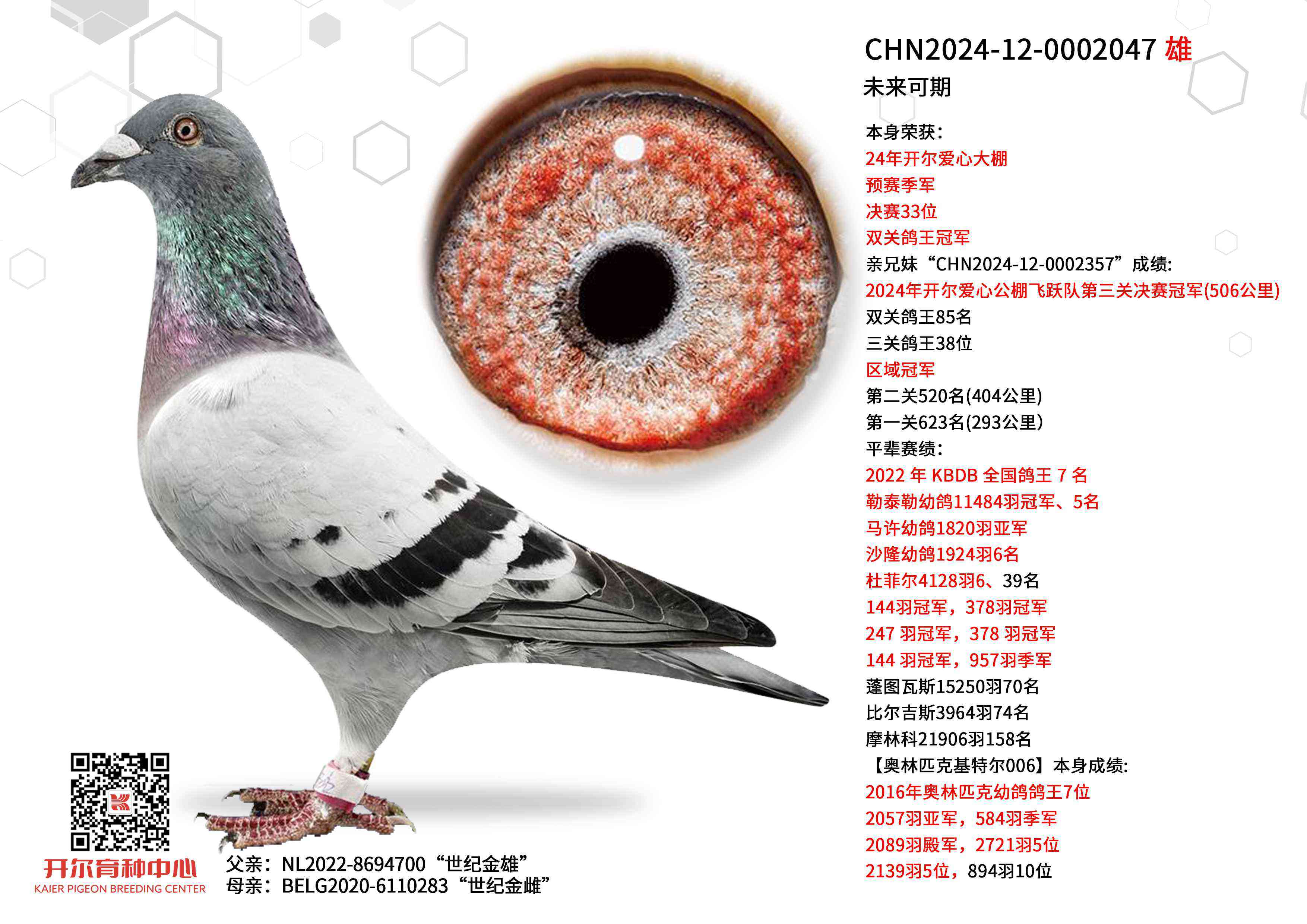 δ��(l��i)����