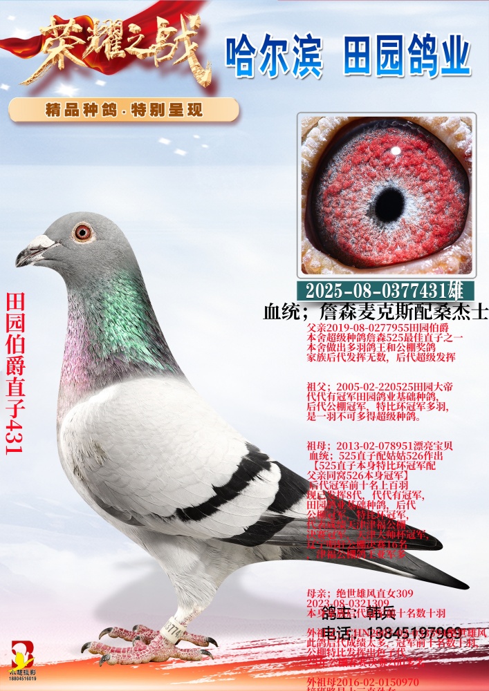 ��԰����ֱ��431