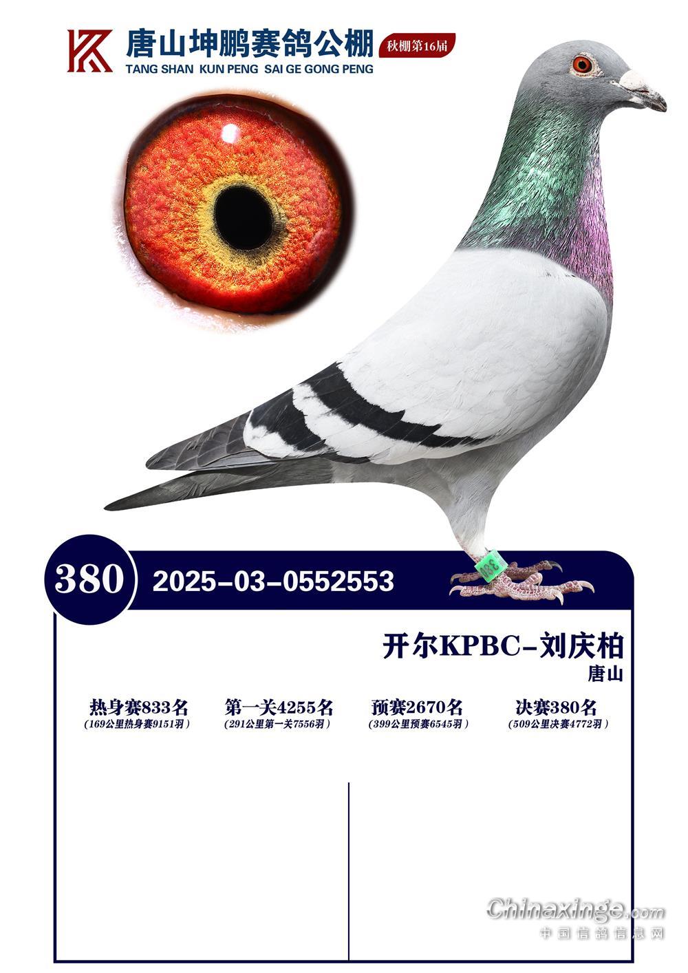 25����ӱ���ɽ���i�Qِ380��