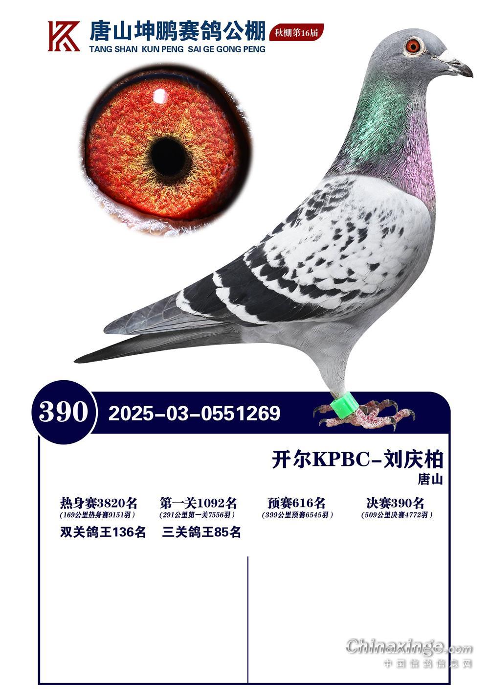 25����ӱ���ɽ���i�Qِ390��