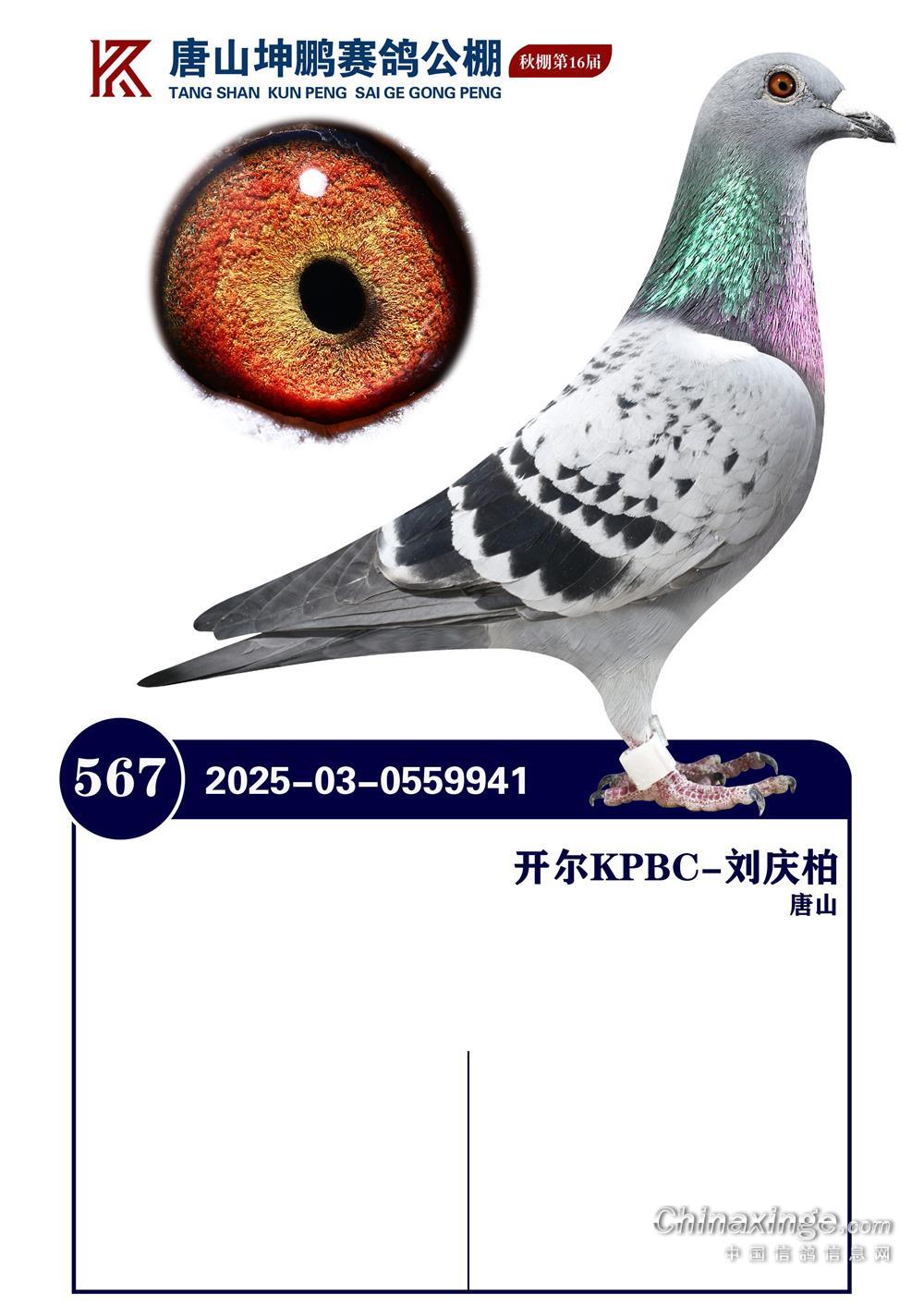 25����ӱ���ɽ���i�Qِ567��