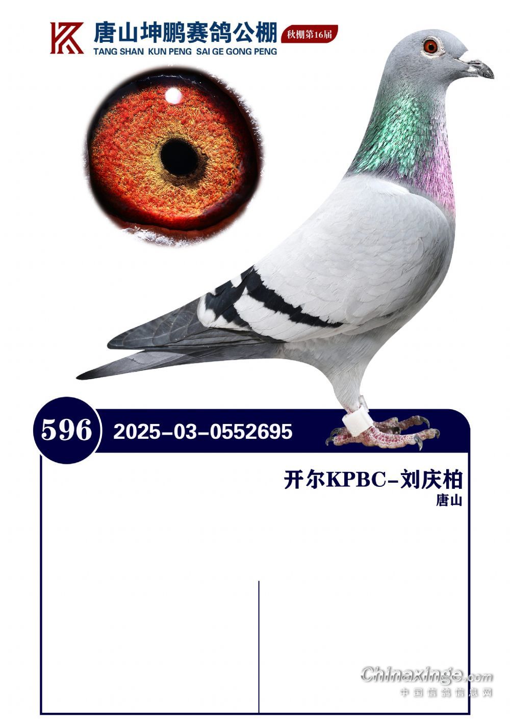 25������ɽ���i���P(gu��n)����20���Qِ596