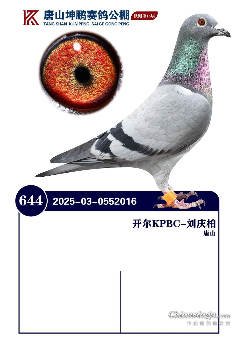 25����ӱ���ɽ���i�Qِ644��