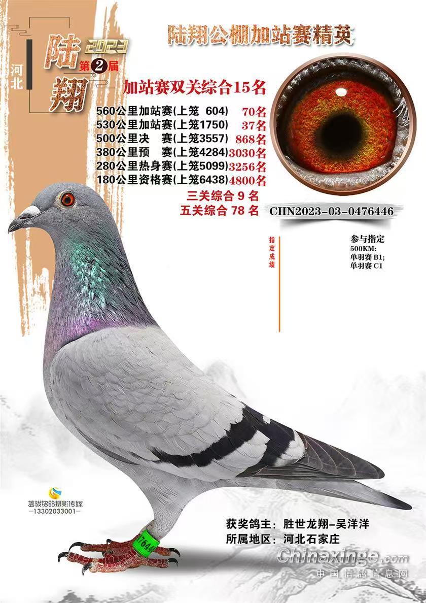 ������9����