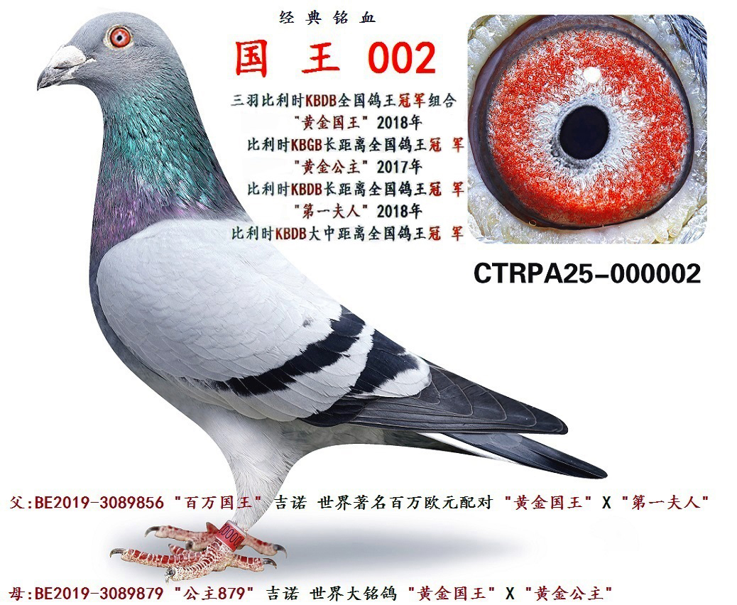 ��(gu��) �� 002