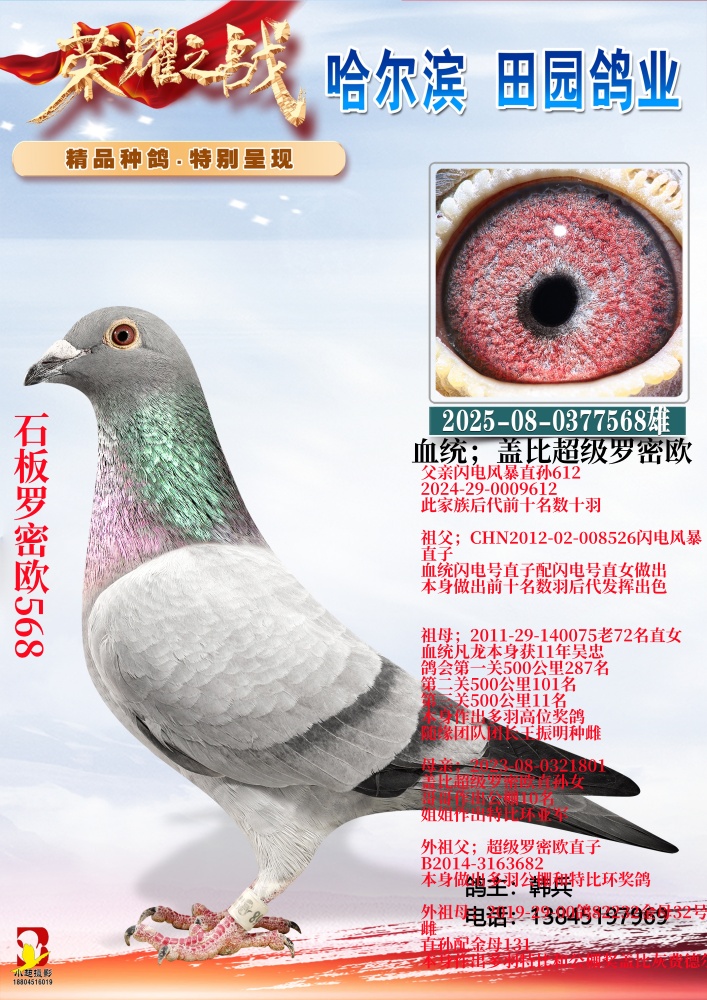 ʯ������ŷ