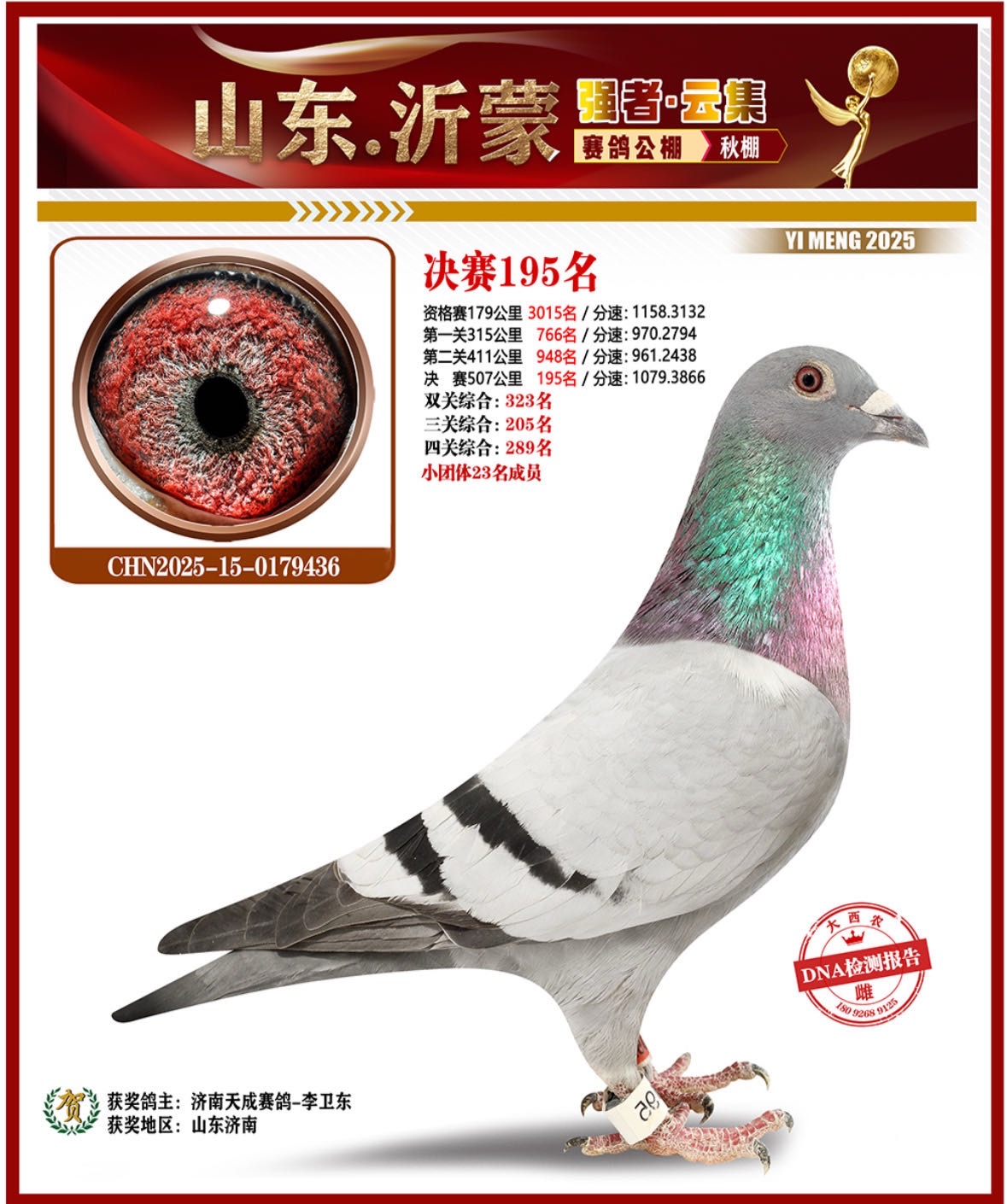 2025��ɽ�����ɹ������195��