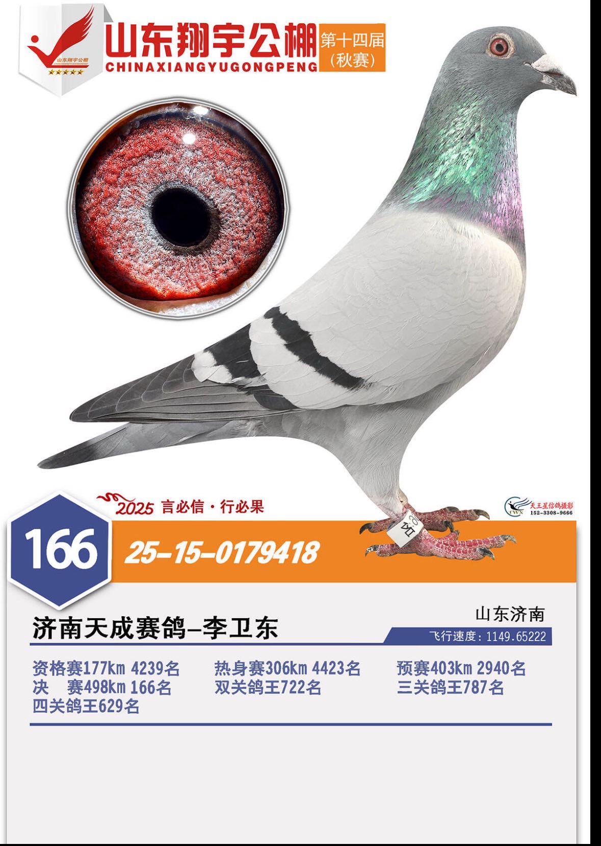 2025��ɽ����������166��