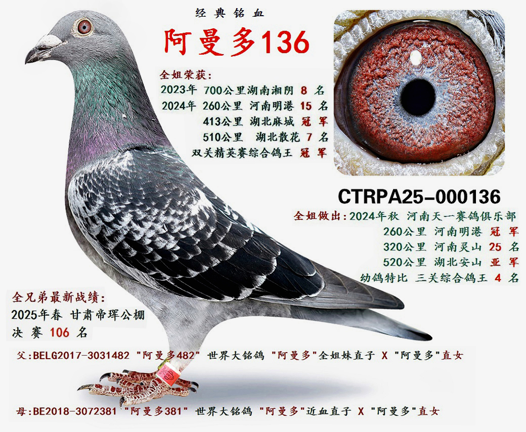 ������ 136