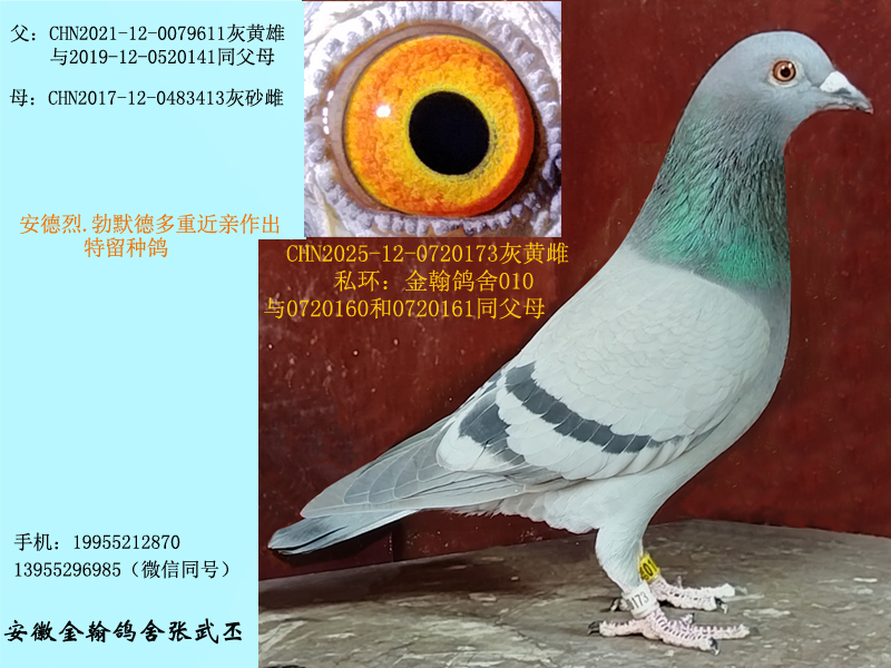 ��Ĭ�¶��ؽ��H���N��