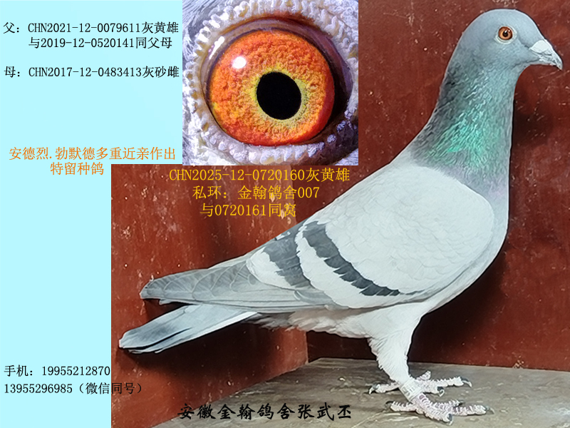 ��Ĭ�¶��ؽ��H���N�� ����