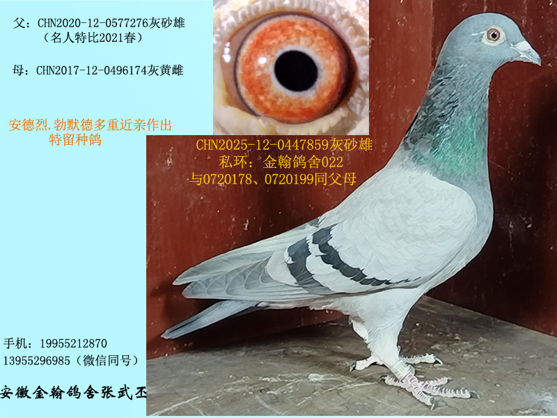 ��Ĭ�¶��ؽ��H���N��