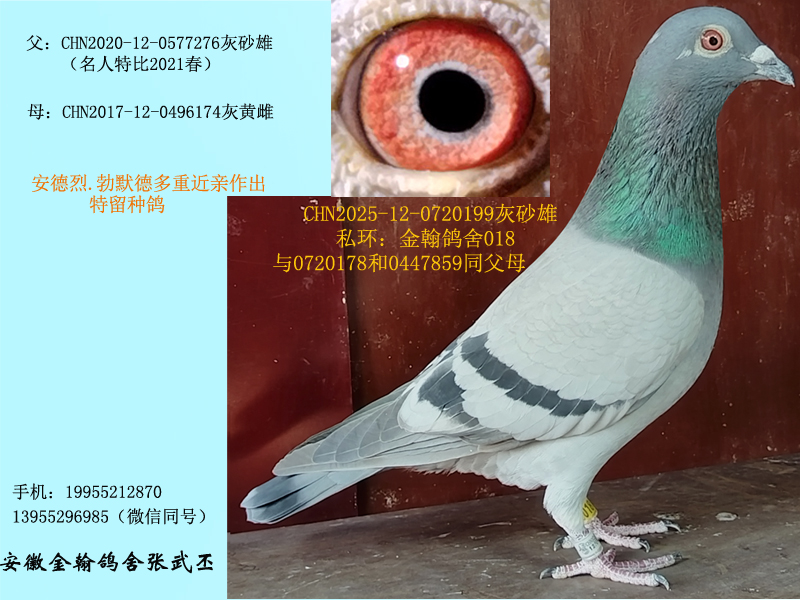 ��Ĭ�¶��ؽ��H���N��