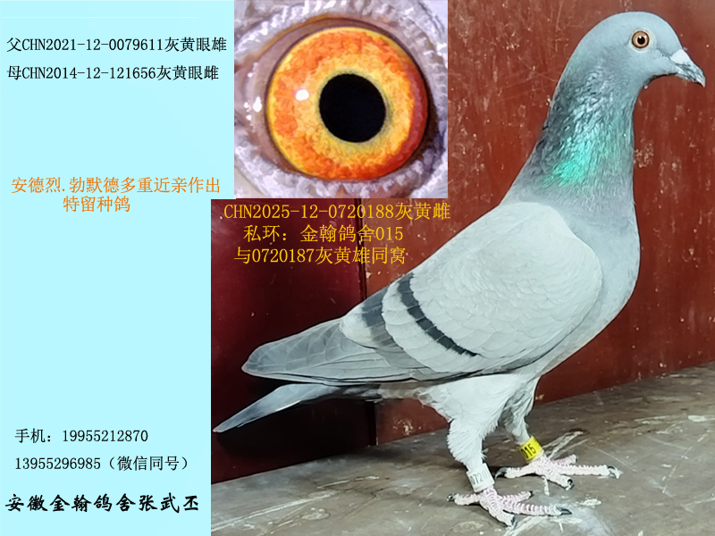 ��Ĭ�¶��ؽ��H���N�� ����