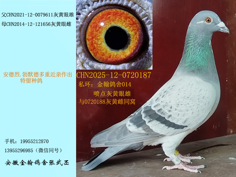 ��Ĭ�¶��ؽ��H���N�� ����