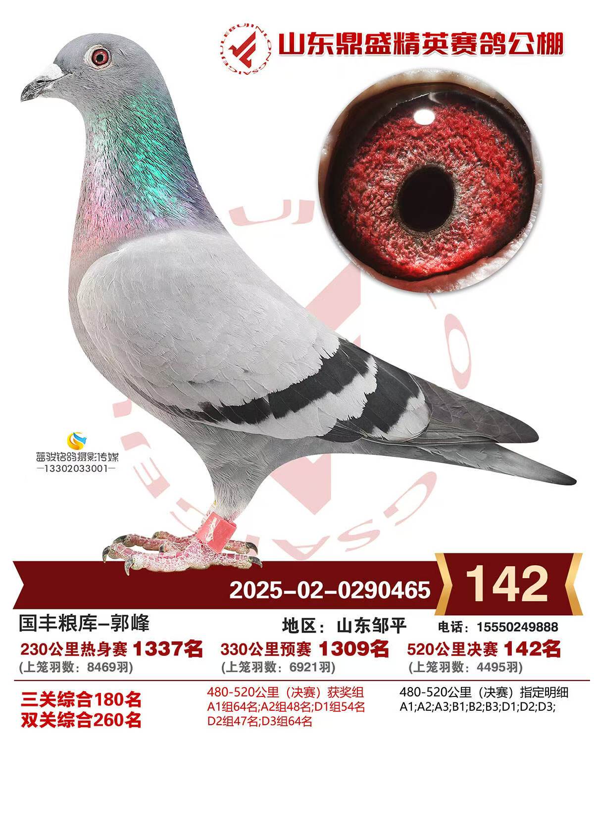 ɽ����ʢ��Ӣ�������142��