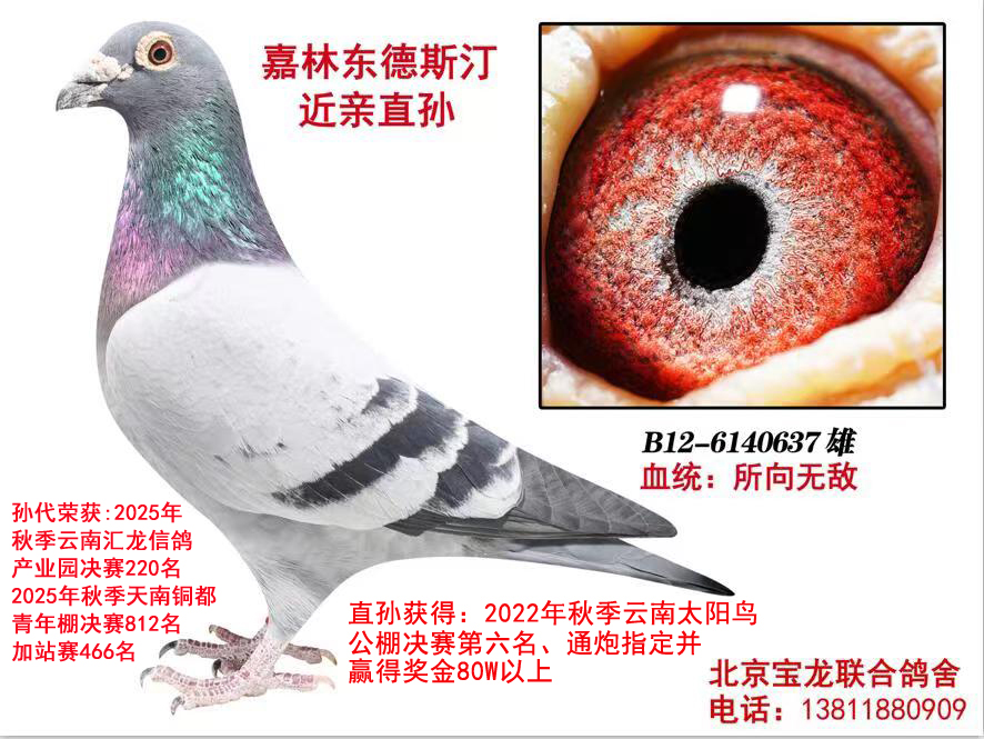 ���ֶ���˹��ֱ����ۣ�