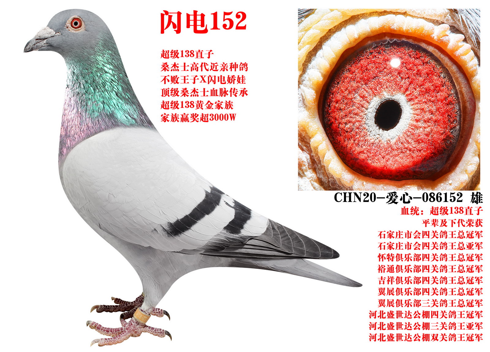 ɣ��ʿ ����152