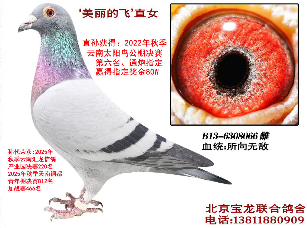 �����ķ�ֱŮ