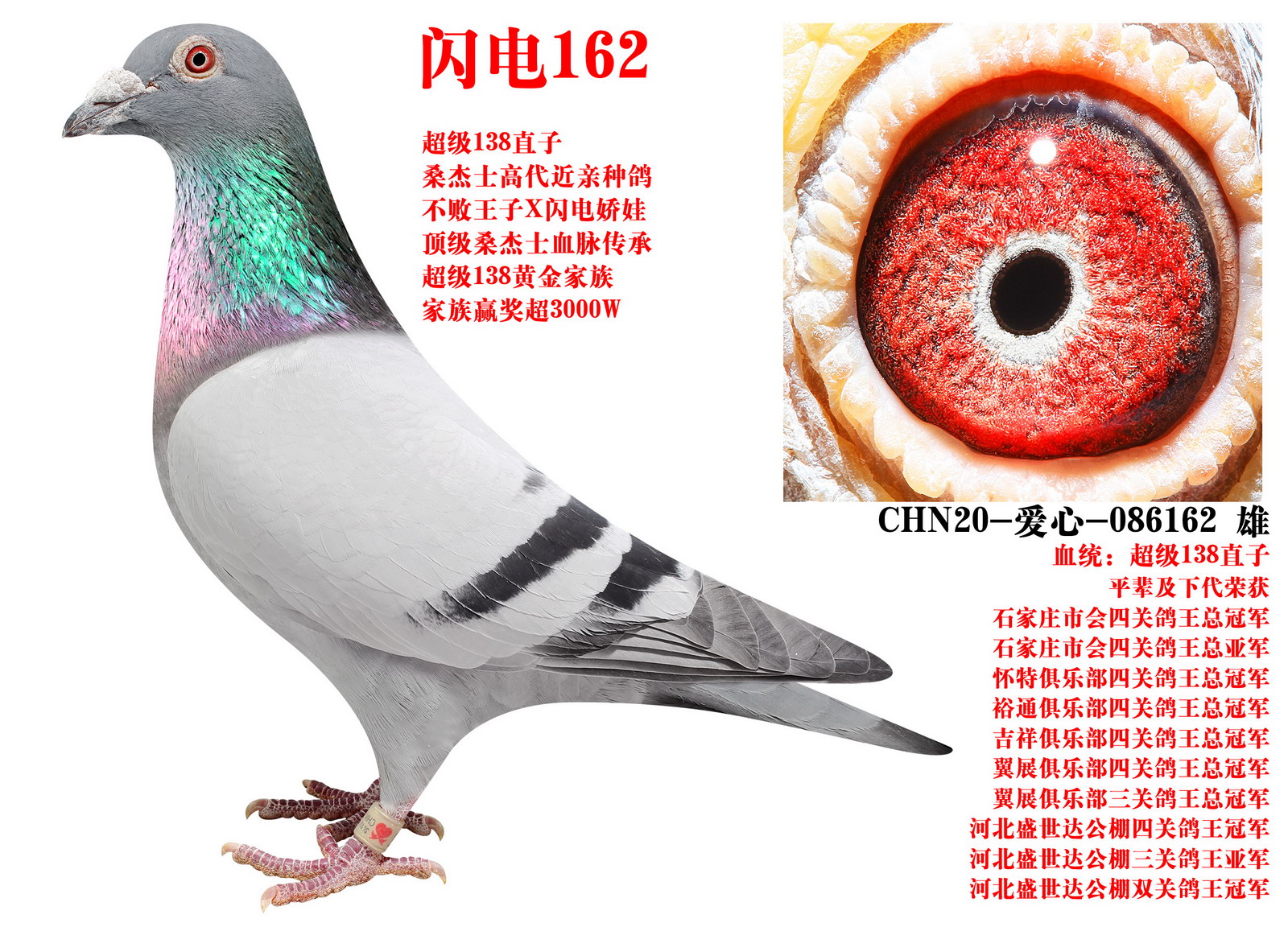 ɣ��ʿ ����162