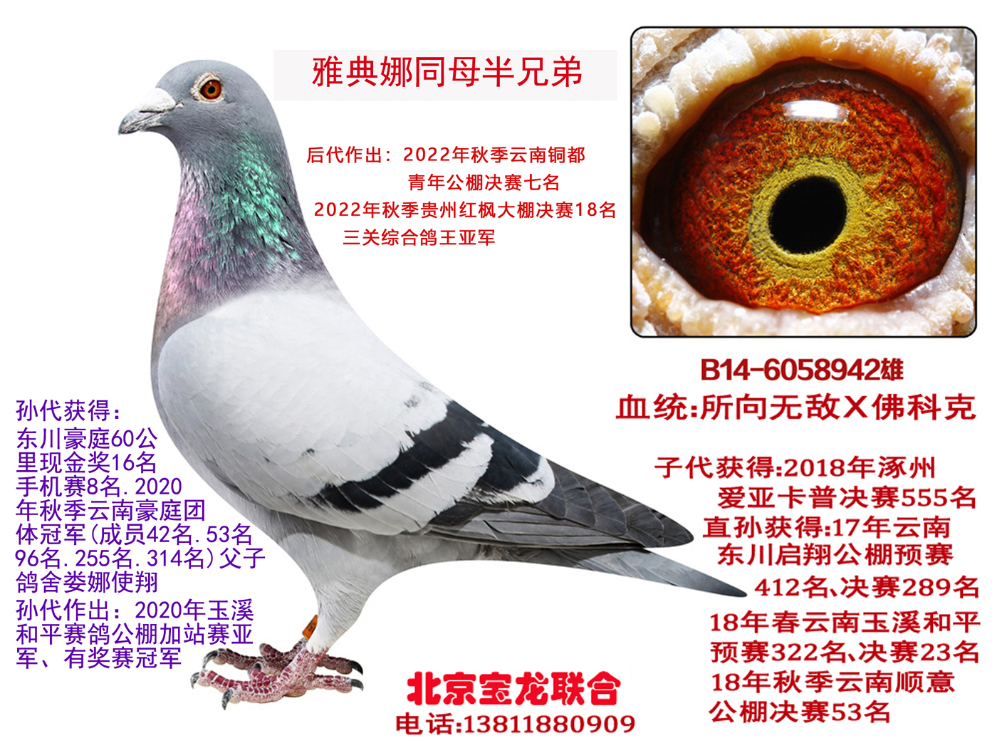 �ŵ���ͬĸ���ֵ�