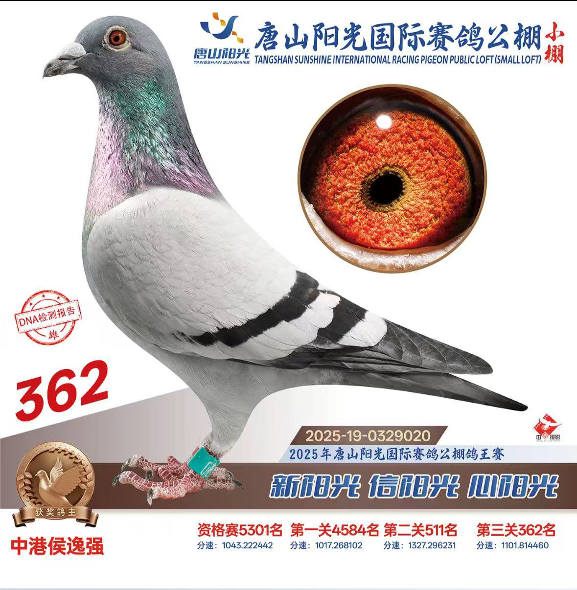 ��ɽ����������빫�����362��