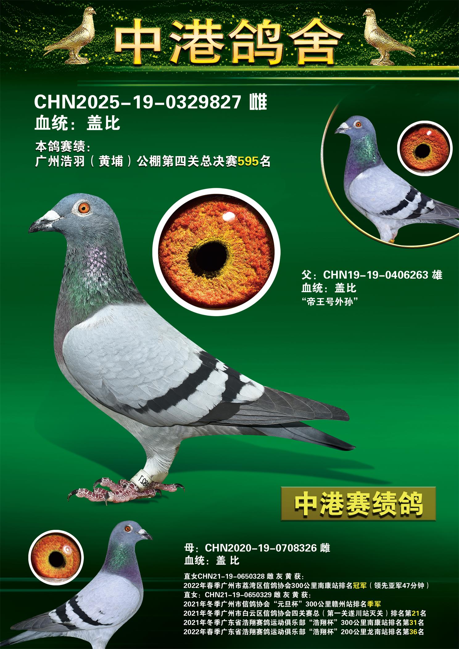 ���ݺ��𣨻��ң�������Ĺ��ܾ���595��