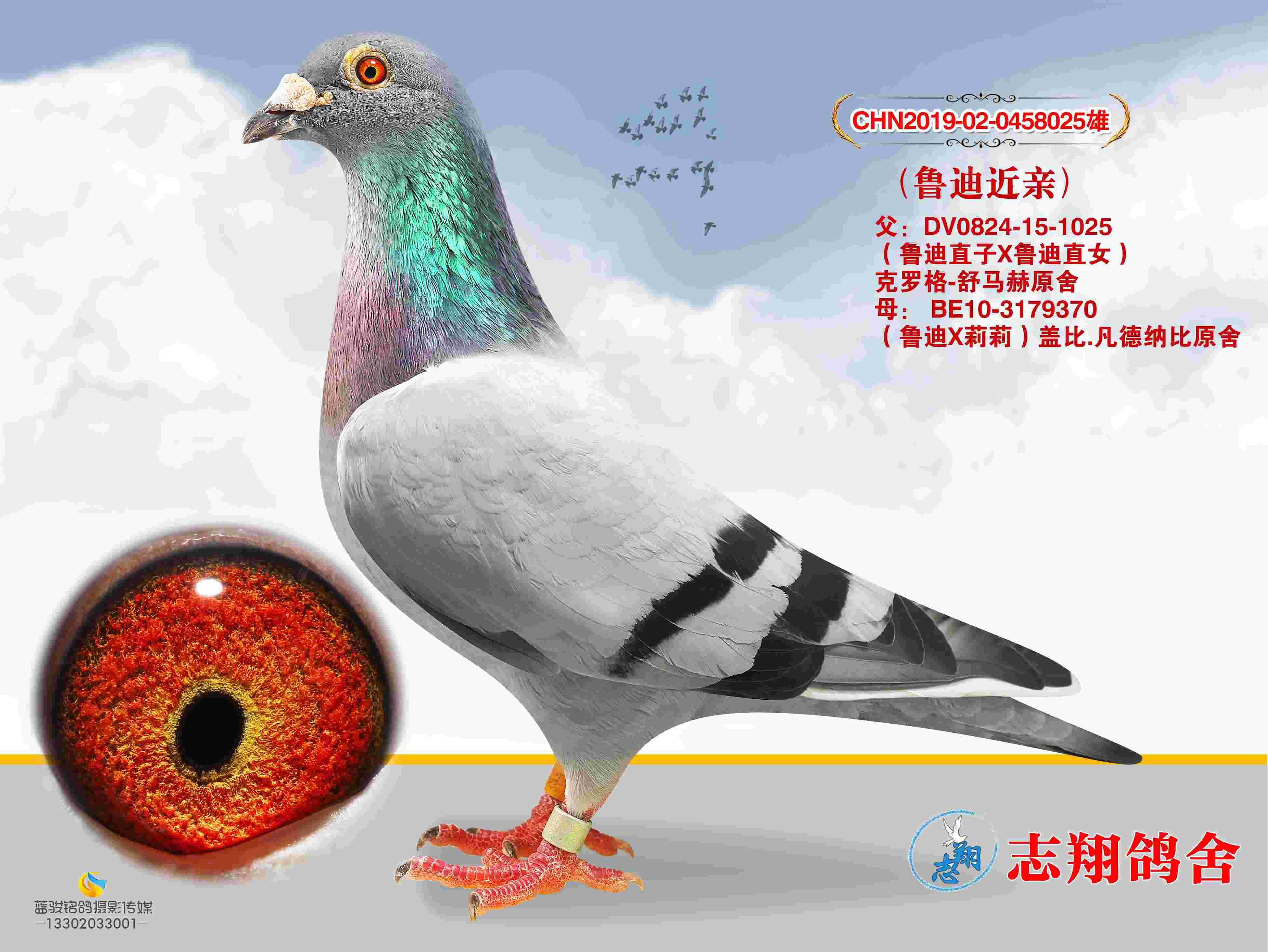 ³�Ͻ���ֱ��x³��ֱŮ