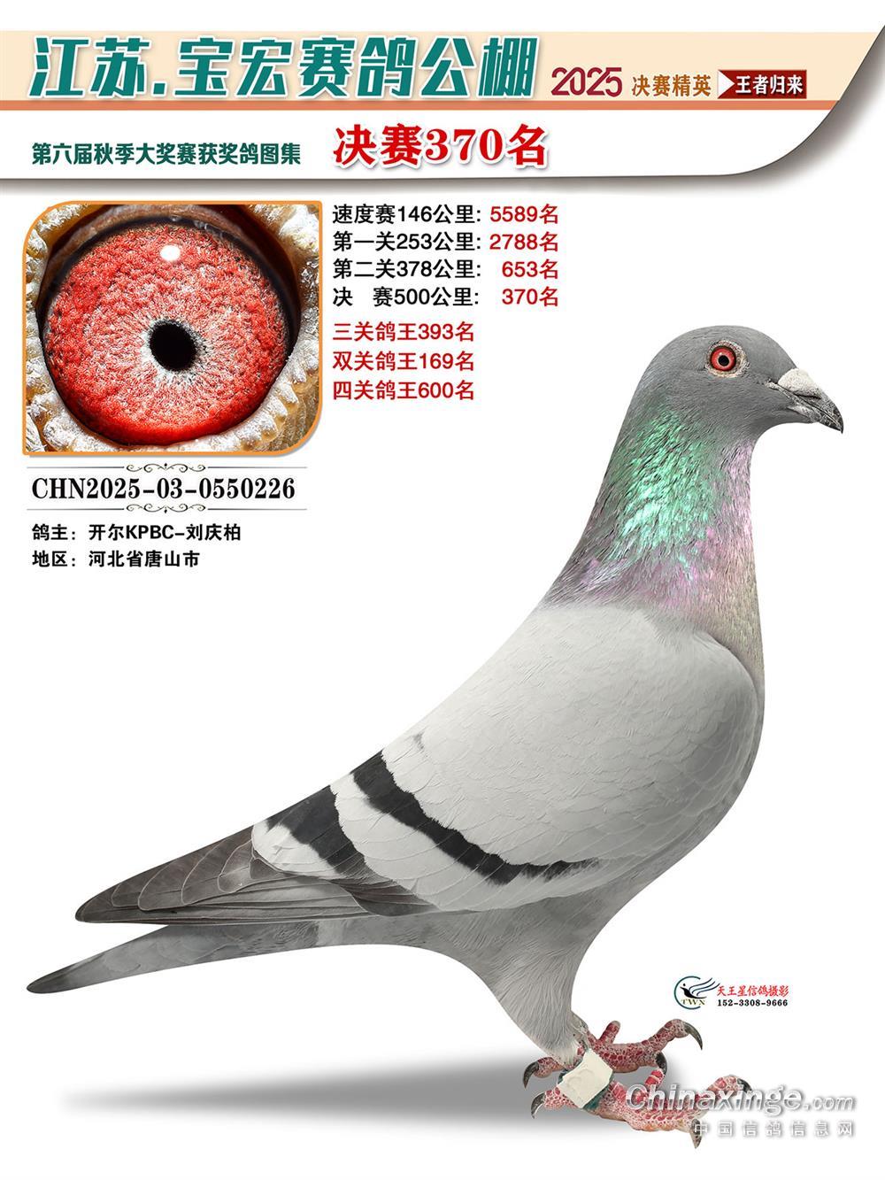 25���ｭ�K����Qِ370��