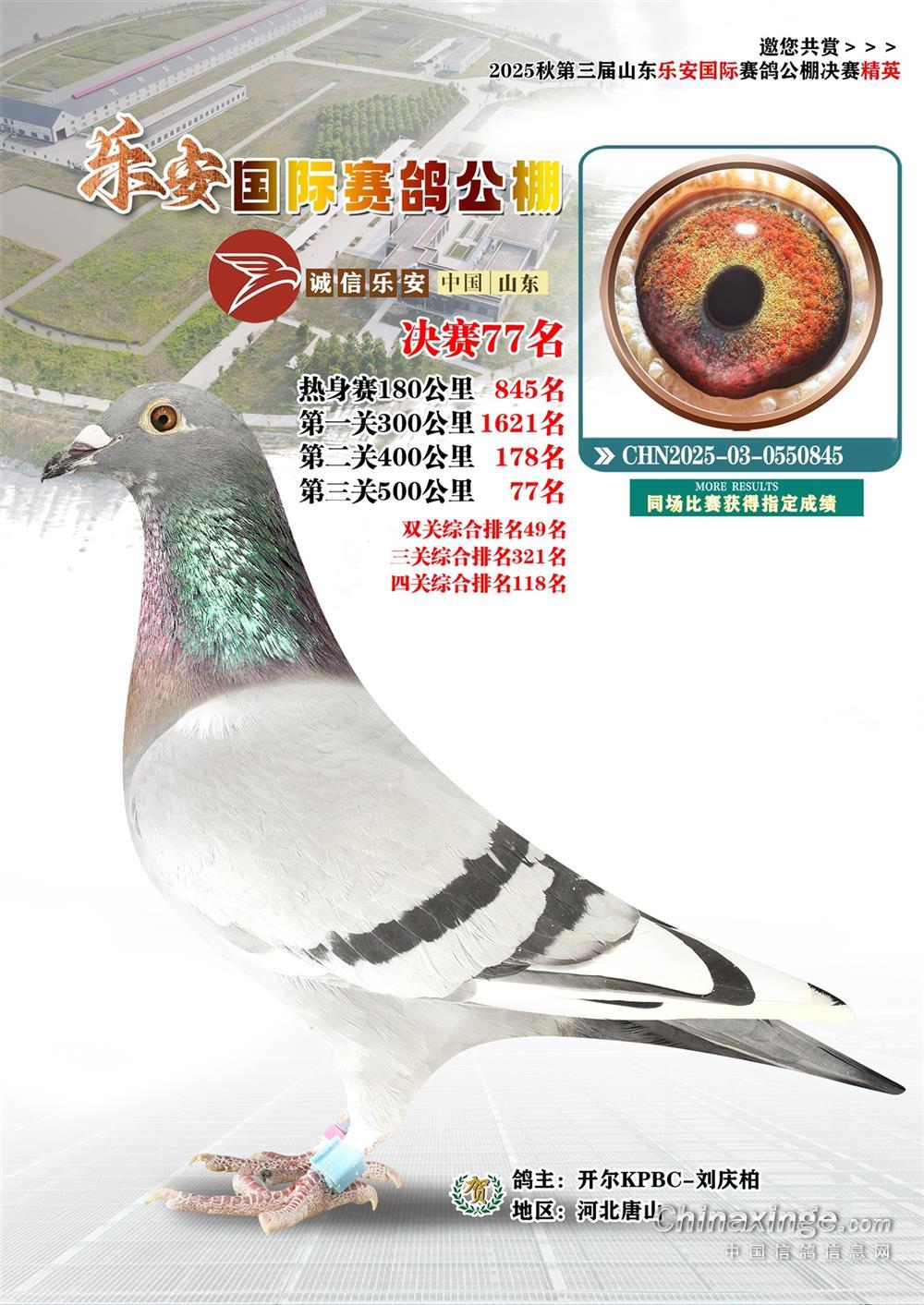 25����ɽ�|�����Qِ77��