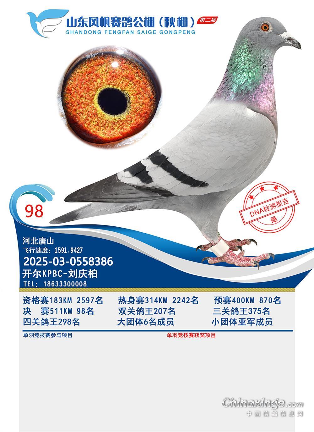 25����ɽ�|�L���Qِ98��