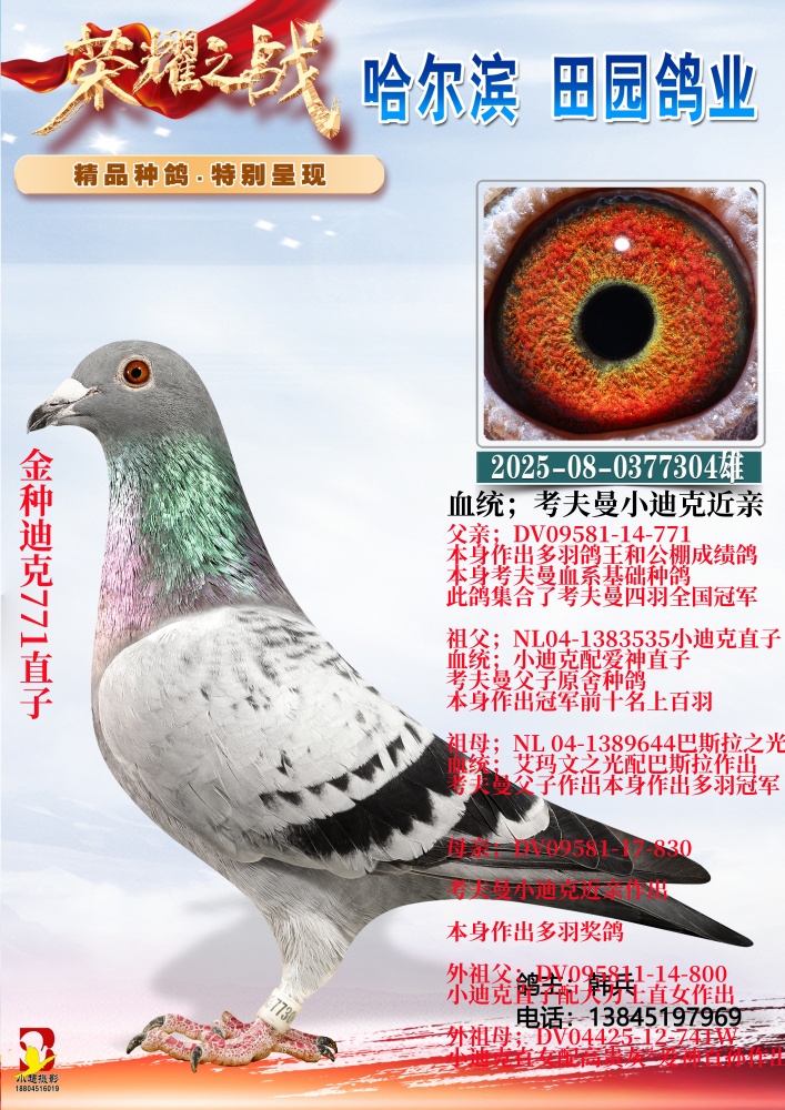 ���ֵϿ�771ֱ��