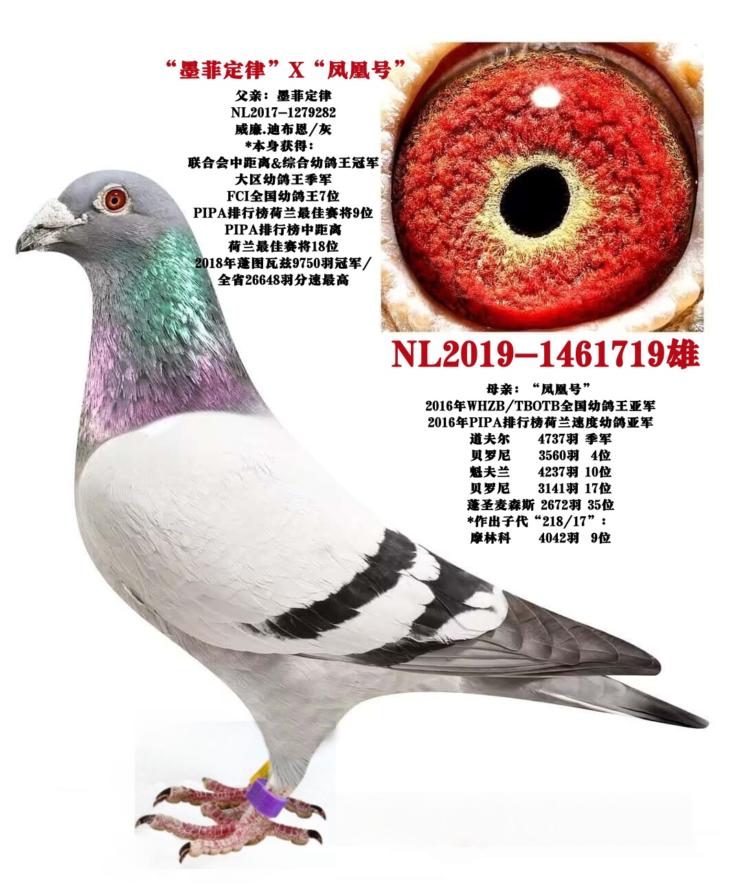 ����.�ϲ�����ī�ƶ��ɡ�ֱ��