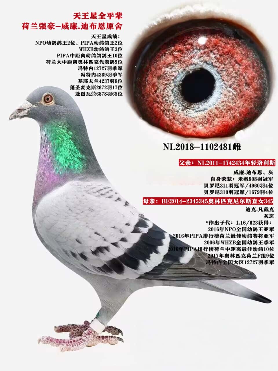 ����.�ϲ����������ǡ�ȫ����