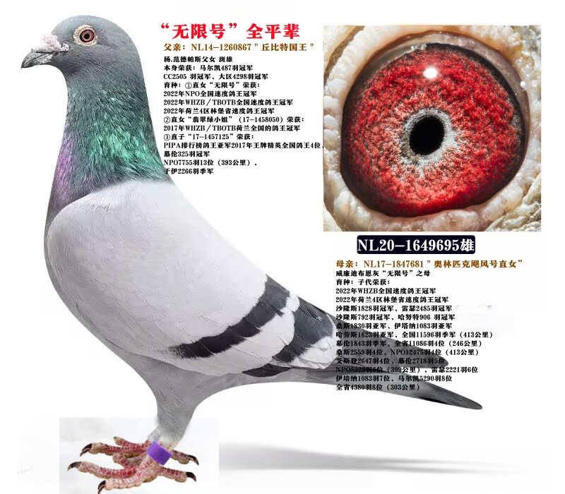 ��.������˹��Ů�����޺š�ȫƽ��