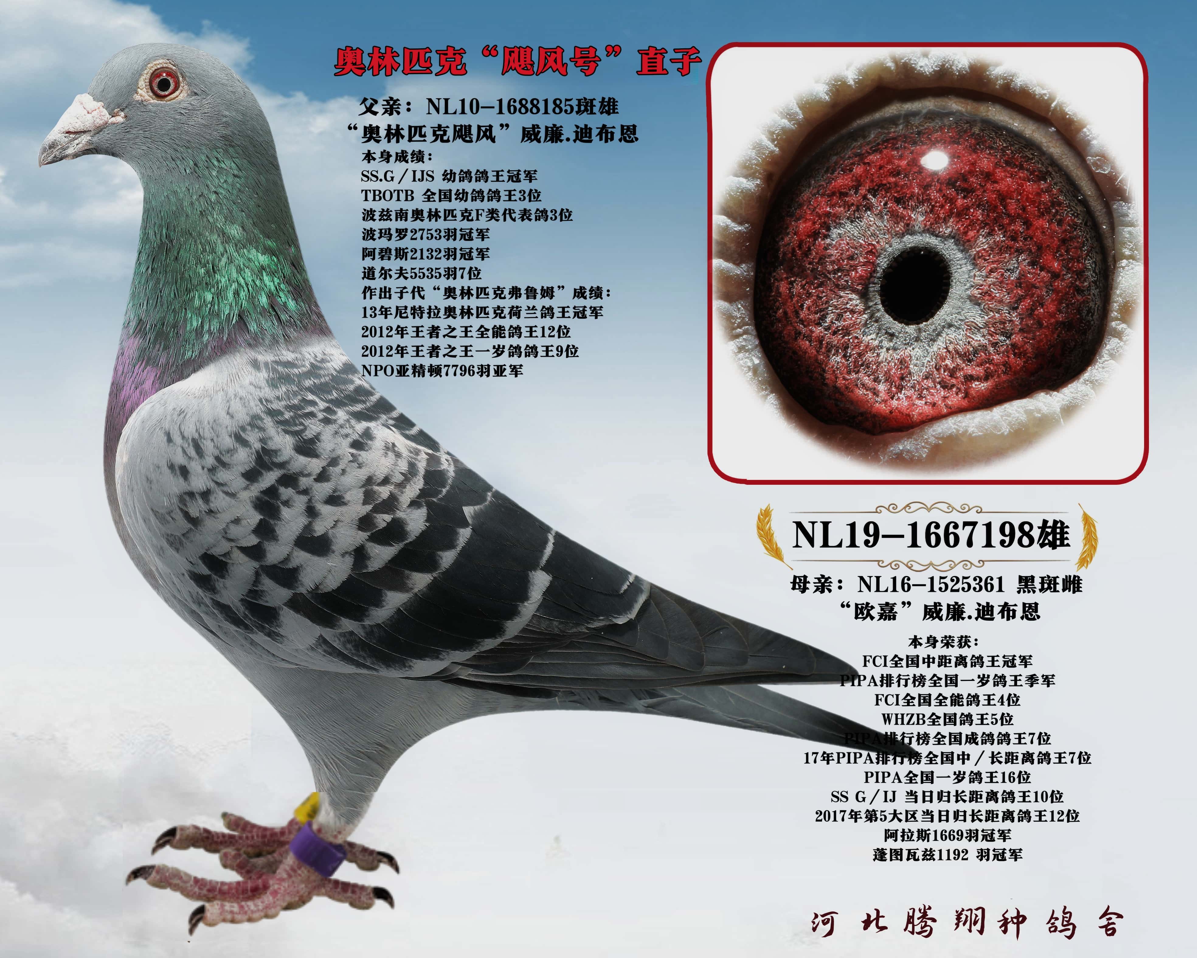 ����.�ϲ�����쫷�š�ֱ��