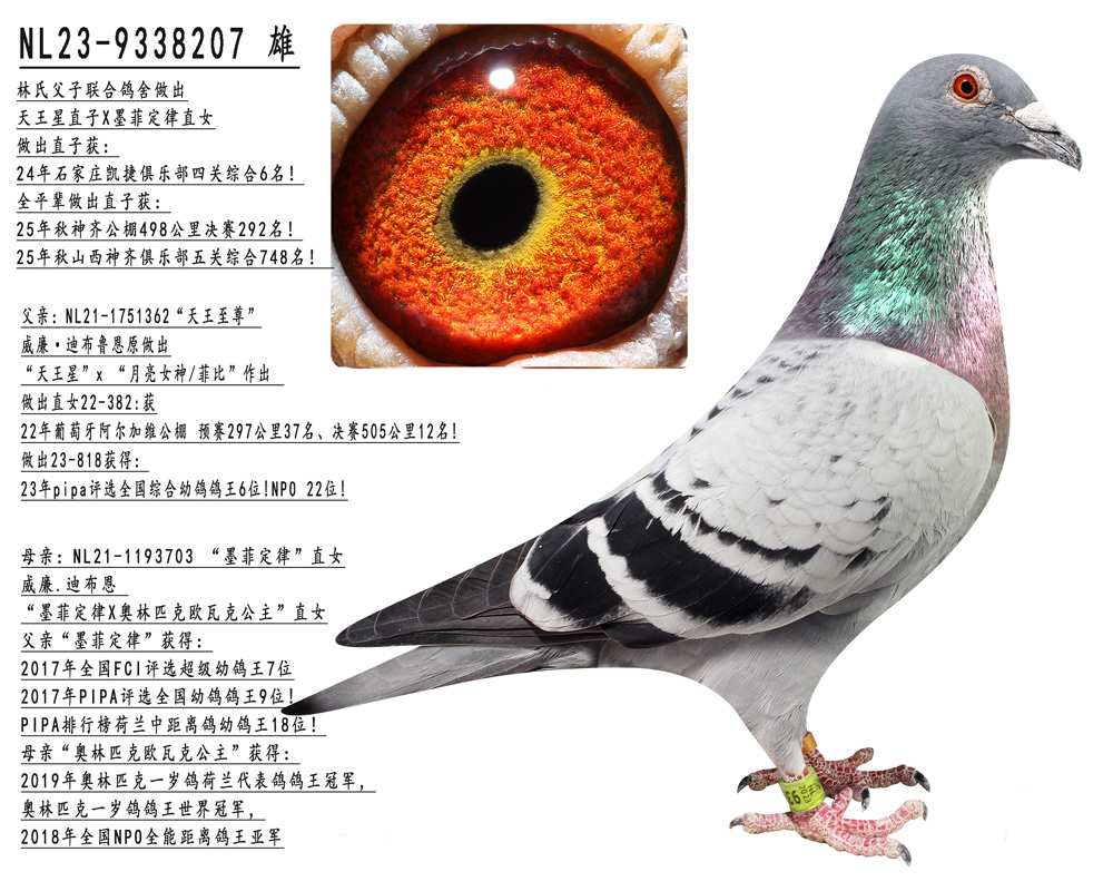 ������ֱ��Xī�ƶ���ֱŮ