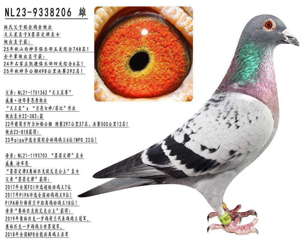 ������ֱ��Xī�ƶ���ֱŮ